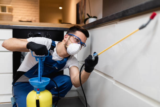 Best Pest Control Cost  in Van Meter, IA
