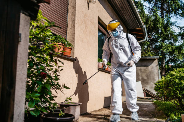 Best Bed Bug Extermination  in Van Meter, IA