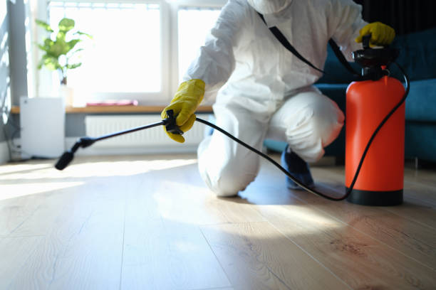 Best Termite Control Services  in Van Meter, IA