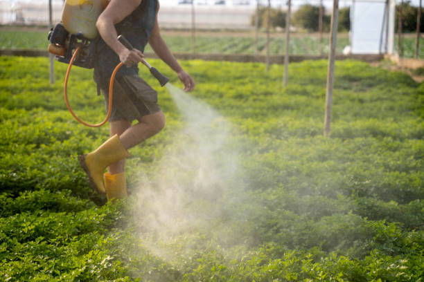 Best Emergency Pest Control  in Van Meter, IA