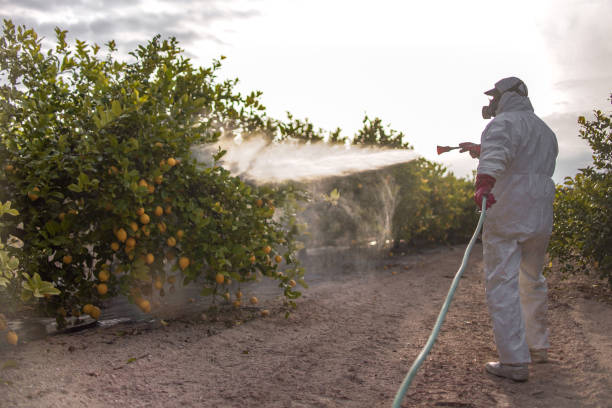 Best Cockroach Control Services  in Van Meter, IA