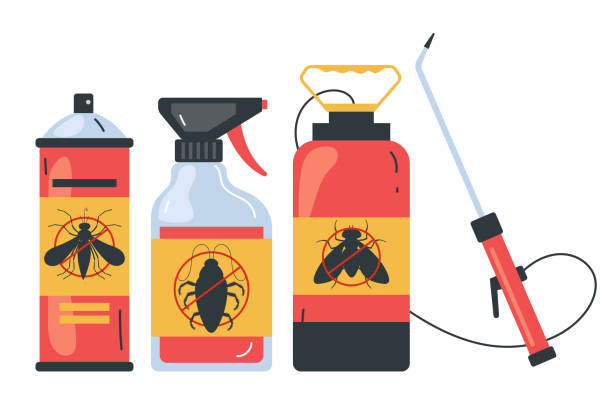 Best Ant Control Services  in Van Meter, IA