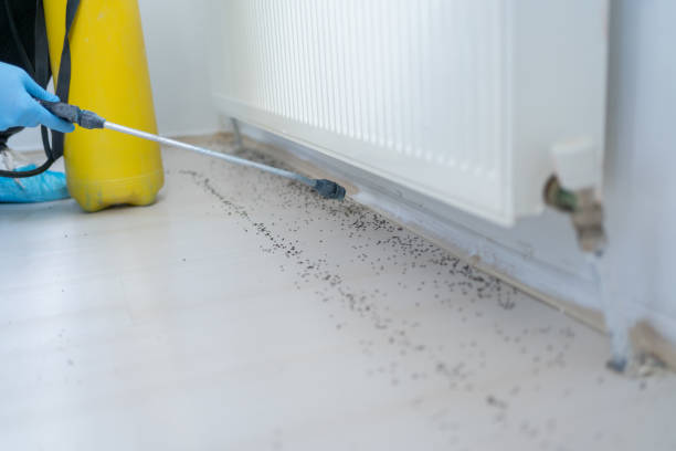 Best Commercial Pest Control Services  in Van Meter, IA