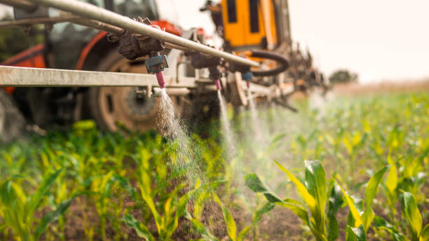 Wildlife Control Services in Van Meter, IA